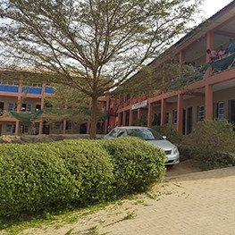 Primary School